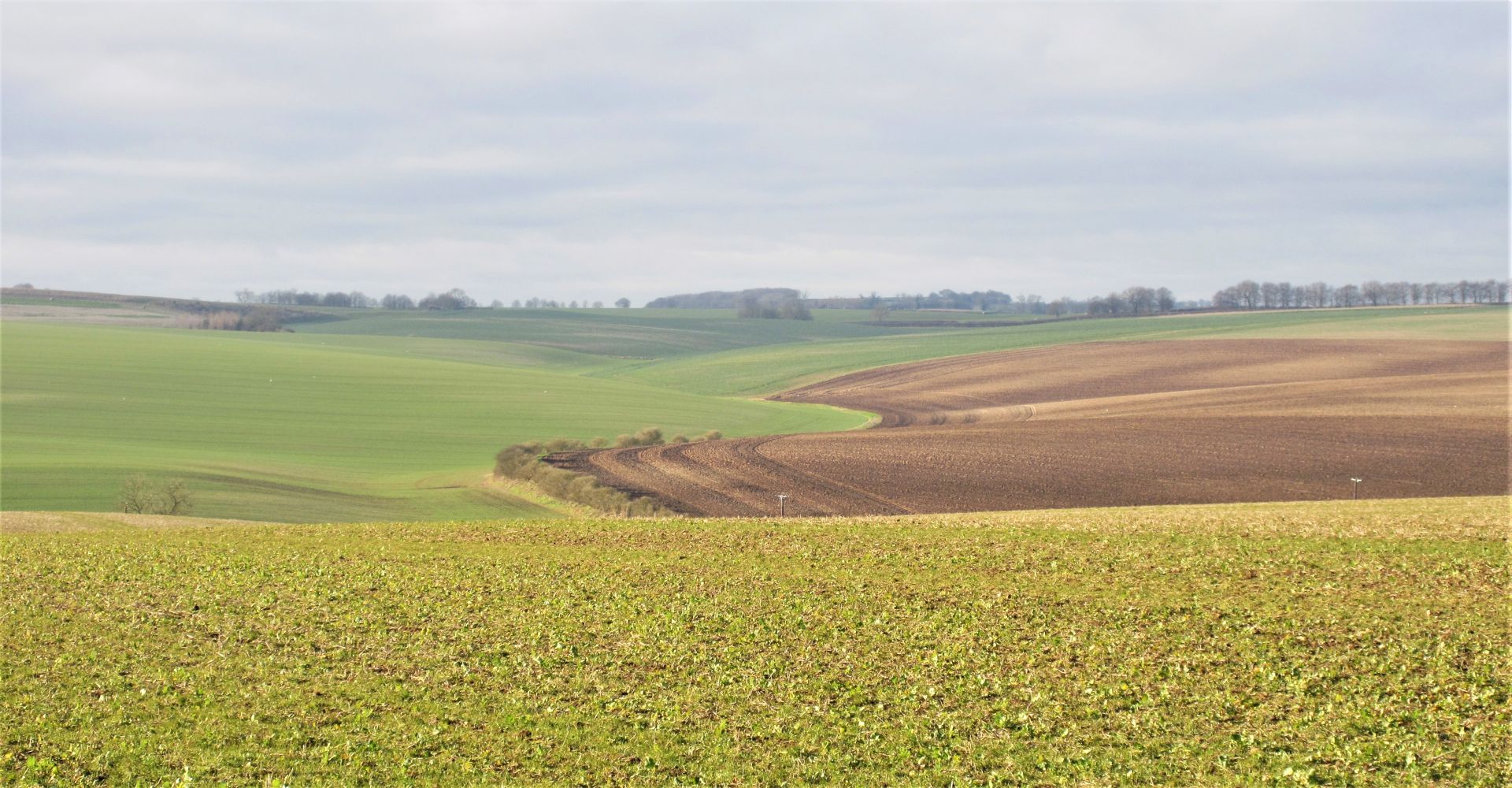Maidenwell view